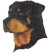(image for) Rottweiler Small Calendar Holder(B)